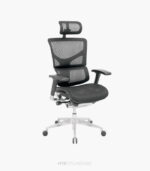Silla Korea Presidente - Image 5