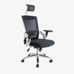 Silla Presidente Viera