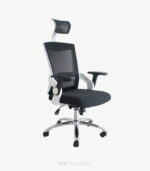 Silla Presidente Viera