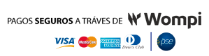 Pago Seguro