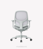 silla zurch