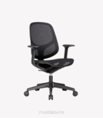 silla zurch