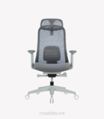 silla ergonomica Oxford